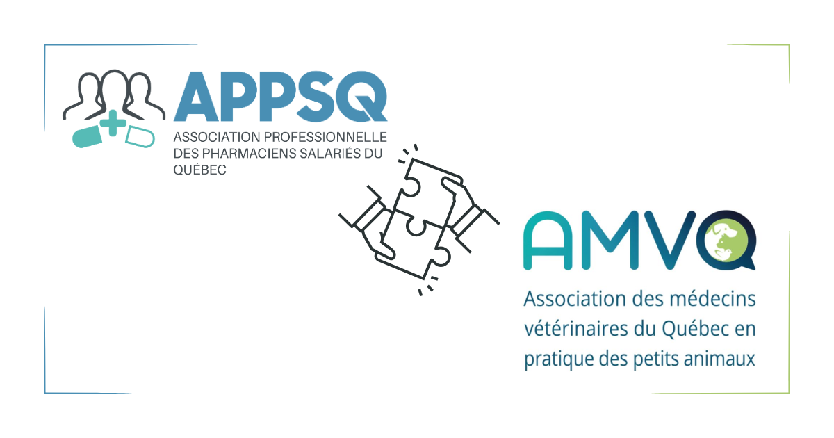 Visuel pour infolettre (7)